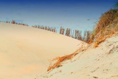 Plaj, deniz ve gökyüzü Beach gösterimler etkileşimi