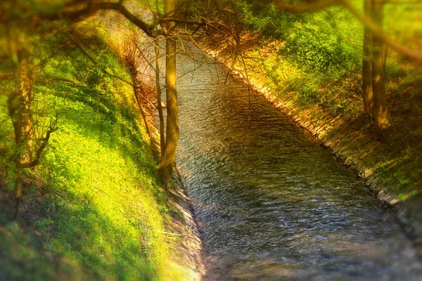 Curso Água Ribeiro Nebulosa Floresta Outono Com Luz Fundo Raios — Fotografia de Stock