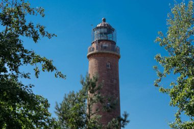 Prerow Dars - 03 Ağustos 2018: Prerow Darss, Vorpommersche Boddenlandschaft Milli Parkı, Almanya üzerinde