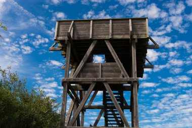Yukarıdan farklı dondurma türleri olan bir dondurma salonunun görüntüsünü görüntüle.