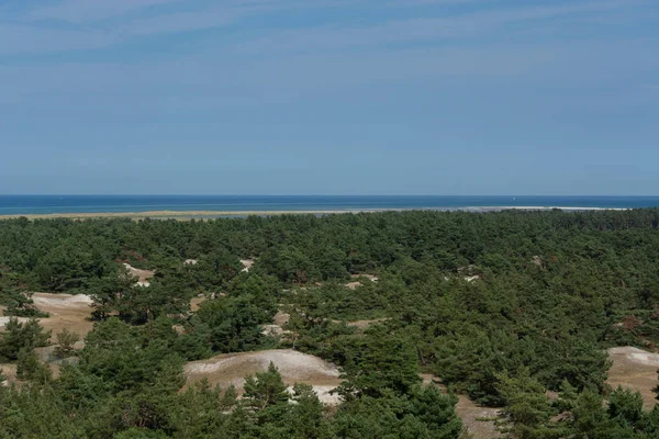 Prerow Darss Národní Park Vorpommersche Boddenlandschaft Německo — Stock fotografie