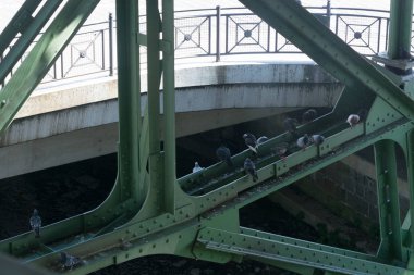 Wuppertal süspansiyon demiryolu destek çerçevesinde