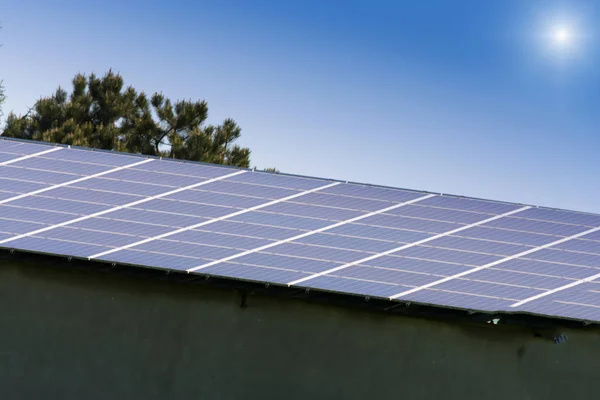 Pannello Solare Fotovoltaico Fonte Energia Alternativa Concetto Risorse Sostenibili — Foto Stock