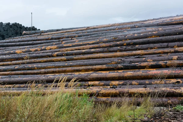 Wood yard business. Wood stacked outdoors. Concept forest industry environment