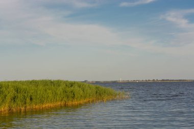 Fischland 'daki Ulusal Park Vorpommersche Boddenlandschaft Baltık beldesi Ahrenshoop, Almanya