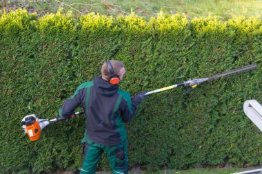Gardener cuts a hedge with a gasoline hedge trimmer. Shaping a wall of thujas clipart