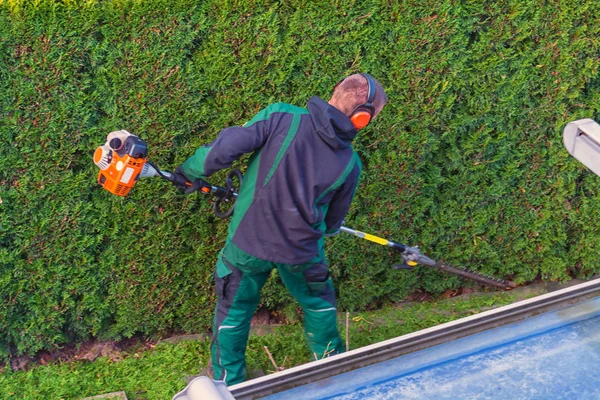 Gardener cuts a hedge — Stock Photo, Image