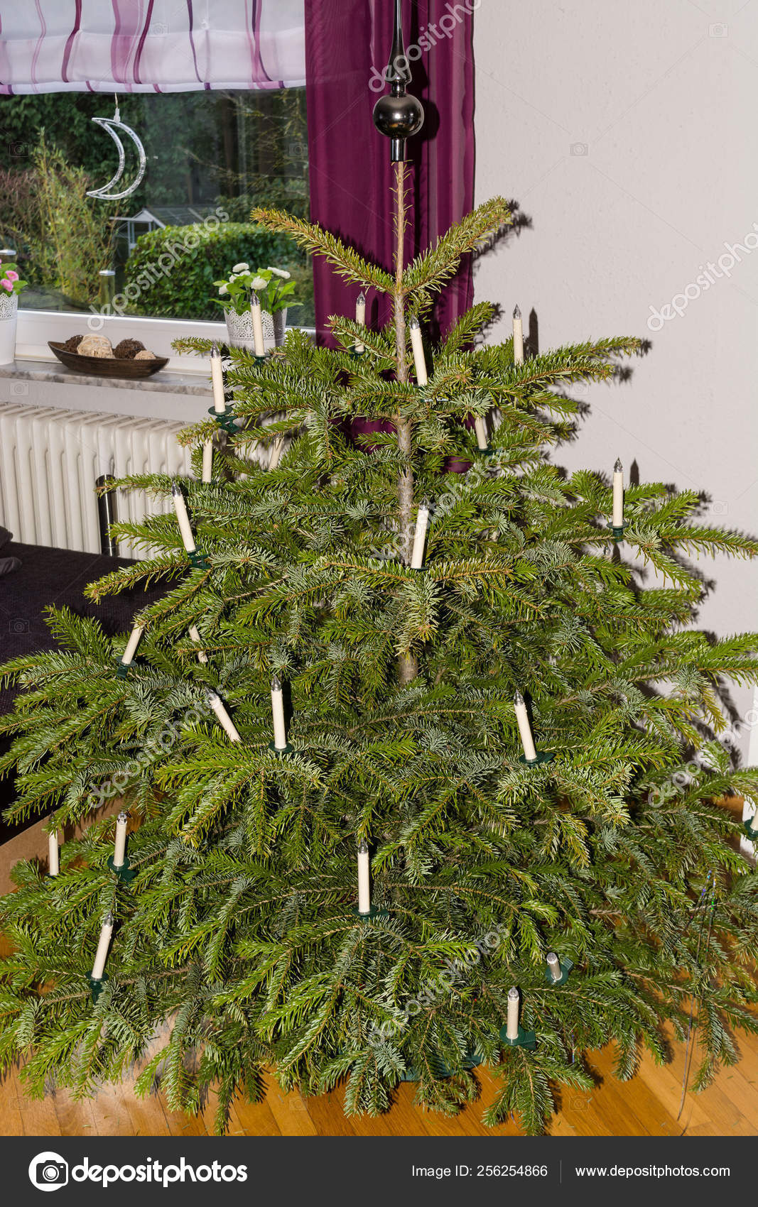 Schoner Weihnachtsbaum Stockfoto C Nikd51