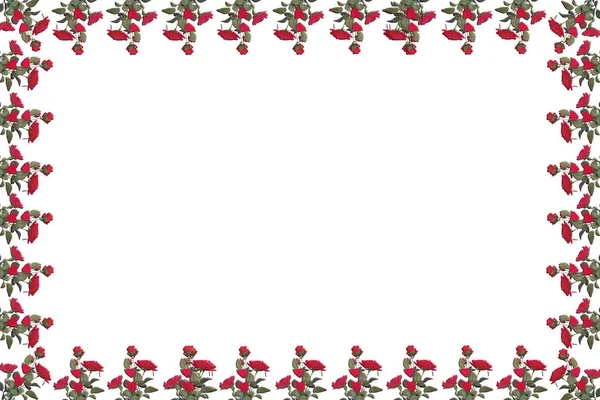 Pocztówka/karta gratulacji z czerwoną różą — Zdjęcie stockowe