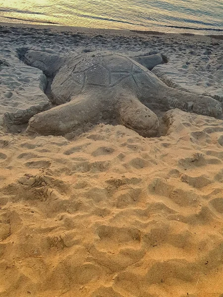 Tartaruga feita de areia — Fotografia de Stock