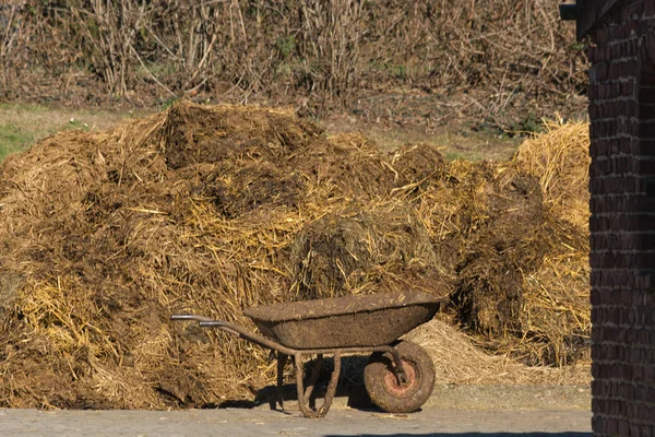Piles of stinking manure — Stock Photo, Image