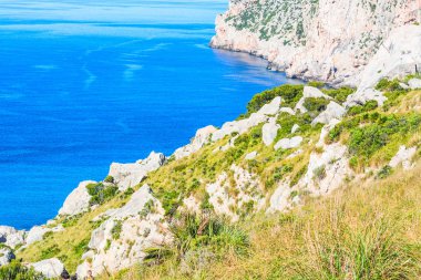 Defne ile pitoresk deniz manzara.       