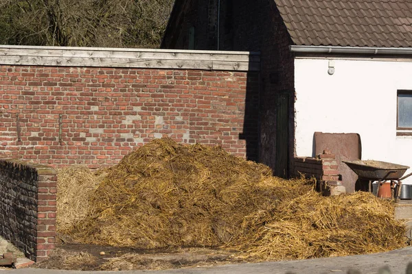 Piles of stinking manure — Stock Photo, Image