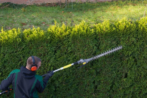 Κηπουρός κόβει έναν φράκτη — Φωτογραφία Αρχείου