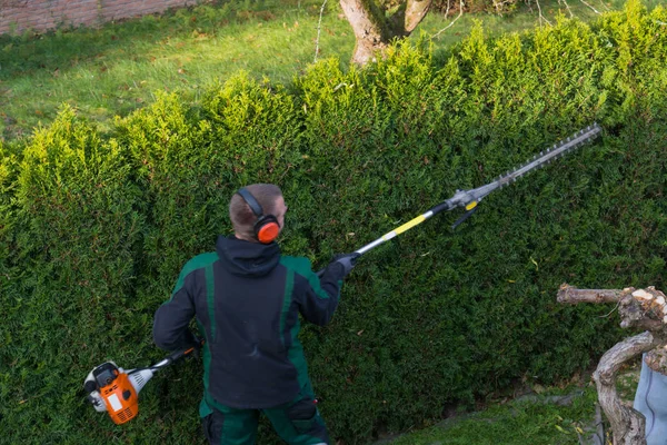 Trädgårdsmästare klipper en häck — Stockfoto