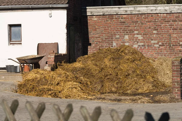 Piles of stinking manure — Stock Photo, Image