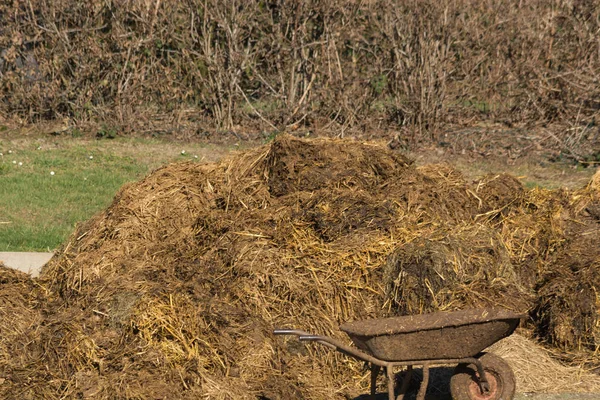 Grămezi de gunoi de grajd mirositor — Fotografie, imagine de stoc