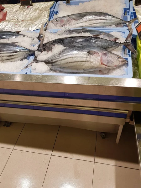 Fischmarktverkäufer Voller Meeresfrüchte — Stockfoto