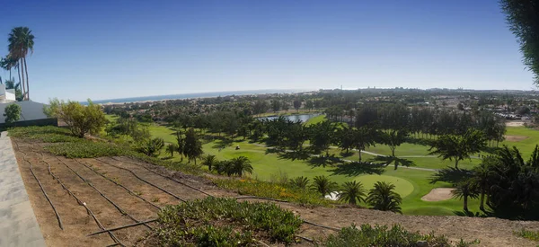 Gran Canaria Meloneras Golf Gra Zielonych Trawach Palmach Wyspach Kanaryjskich — Zdjęcie stockowe