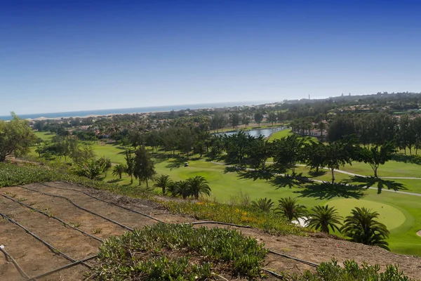 Gran Canaria Meloneras Golf Play Green Grass Palm Trees Canary — Stock Photo, Image