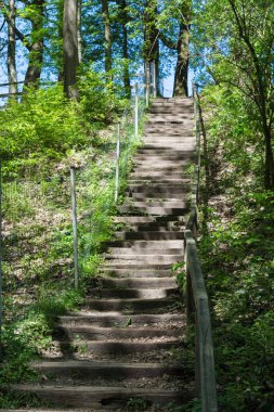 Orman yolu, dik merdivenlerle Neandertal 'de yürüyüş yolu.