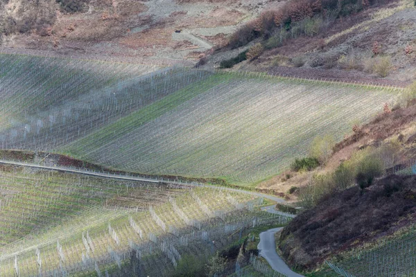 ドイツのモーゼルのブドウ畑を通る曲がりくねった道 — ストック写真