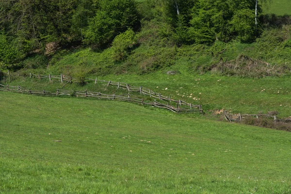 Panorama Typical Alpine Meadow Wood Fence — Stock Photo, Image