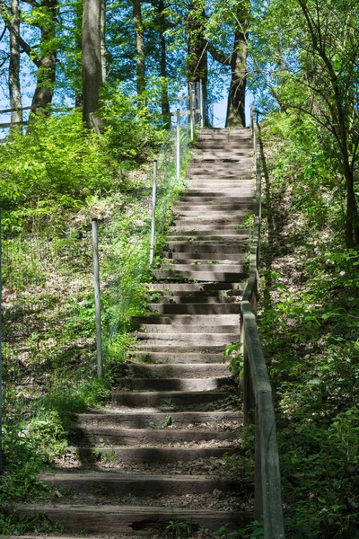 Forest trail, hiking trail in Neandertal with steep stairs