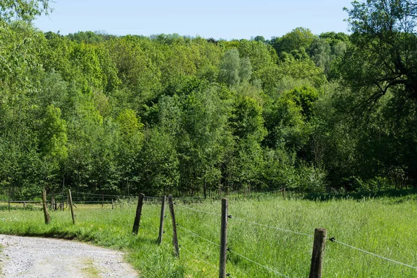 Naturlandschaft Auf Kleinen Hügeln Und Blauem Himmel Mit Wolkenn — Stockfoto