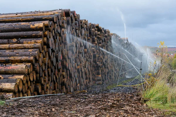 Ahşap Işleri Dışarıda Odun Yığını Var Orman Endüstrisi Ortamı — Stok fotoğraf