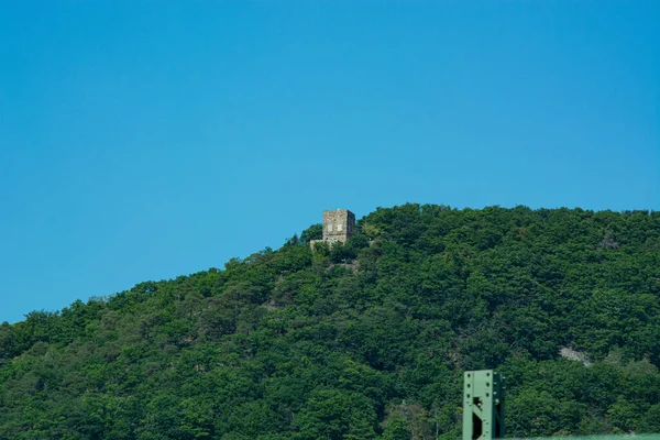 Pohled Turistické Trasy Hesensku Ruine Burg Ehrenfels Řece Rýně Bingen — Stock fotografie