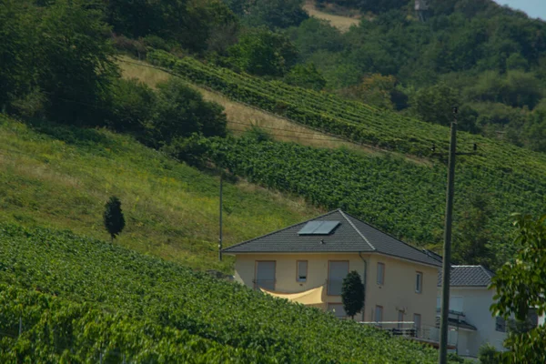 Εναέρια Άποψη Για Oberwesel Rhein Μικρή Πόλη Στο Άνω Μέσο — Φωτογραφία Αρχείου