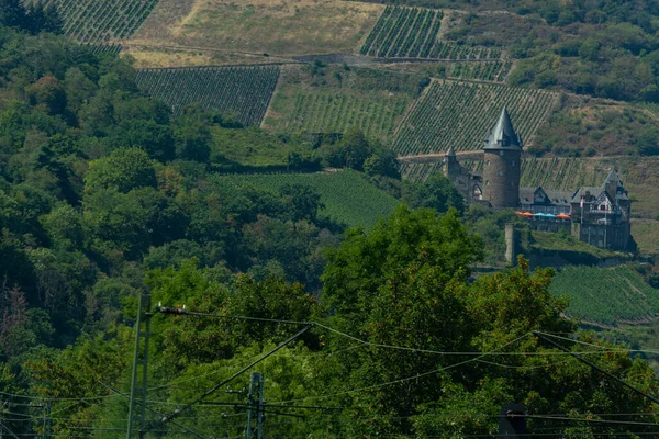 Romantik Şatolar Ren Vadisi Almanya Nın Sahnesi — Stok fotoğraf