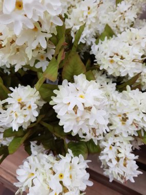 Güzel çiçekler arka planda