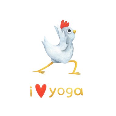 Yoga pozlarındaki komik beyaz tavuk. Üçgen Poz 'daki bir kuşun suluboya çizimleri ve 