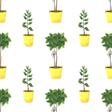 Kusursuz desenli, sarı tencerede kapalı bir ağaç var. Beyaz arka planda elle çizilmiş bir süs. Çizgi film tasviri. Bahçe işleri ve yetiştirilen ev bitkileri hakkında parlak bir yazı.