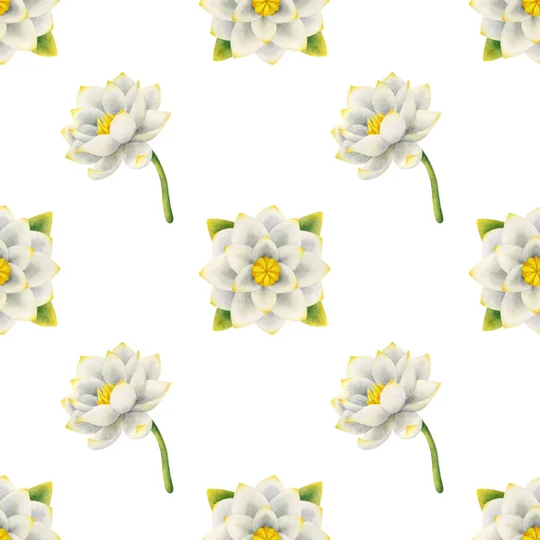Seerose Nahtloses Muster Mit Zarten Weißen Farben Aquarellillustrationen Auf Weißem — Stockfoto