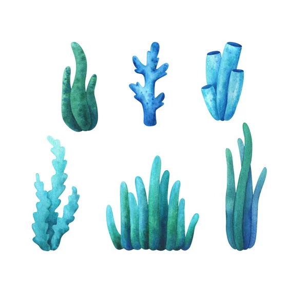 Algues Coraux Dans Schéma Couleur Vert Bleu Ensemble Illustration Pour — Photo