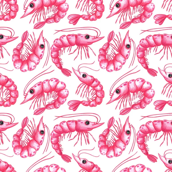 Pink Shrimp Seamless Pattern Seafood Pattern White Background Hand Drawn — Stock Photo, Image