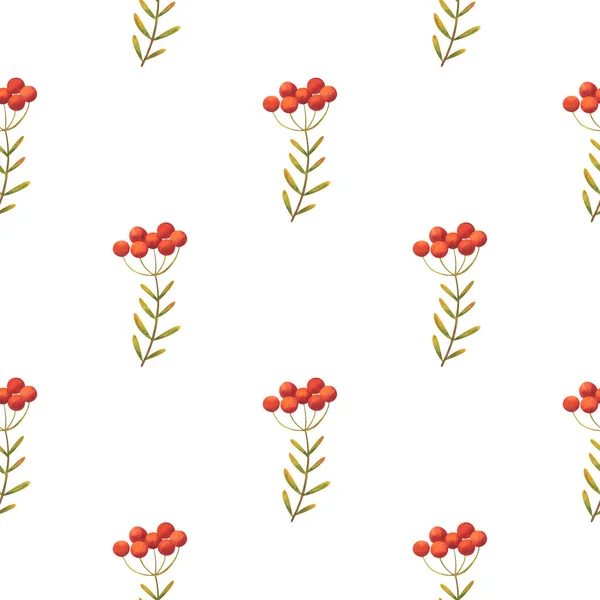 Осінні Червоні Ягоди Безшовний Візерунок Аквареллю Ілюстрації Білому Тлі Мінімалістичний — стокове фото