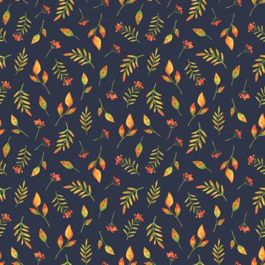 Sonbahar kırmızı böğürtlen kümeleri ve düşen yapraklar. Koyu mavi arka planda suluboya çizimleri olan kusursuz bir desen. Kumaş, tekstil, kağıt ve diğer tasarımlar için küçük baskı. Bitkilerle süslenmiş stok.