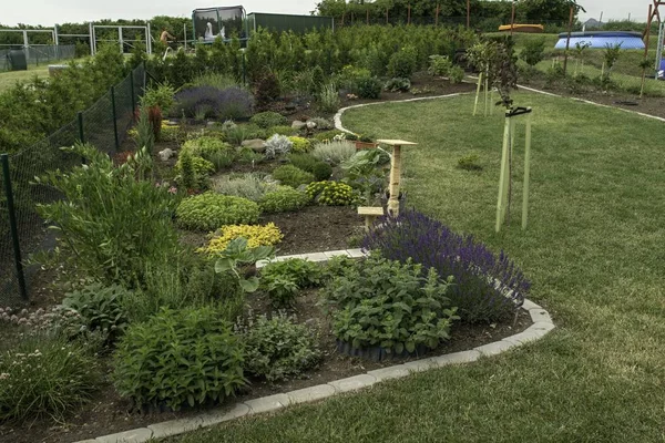 ornamental garden at the house in summer full of plants