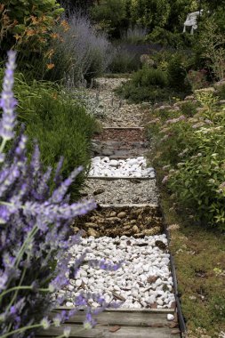 Yaz aylarında güzel renkli bitkiler ile Park