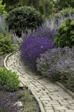 Yaz aylarında güzel renkli bitkiler ile Park