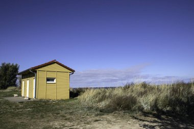 huzurlu kumsalda deniz kıyısı