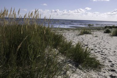 huzurlu kumsalda deniz kıyısı