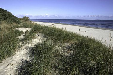 huzurlu kumsalda deniz kıyısı