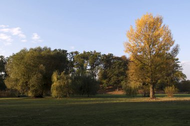 Ekim ayında sonbahar manzara renkli ağaçlar