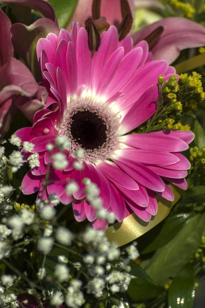 Flores Coloridas Belo Buquê — Fotografia de Stock
