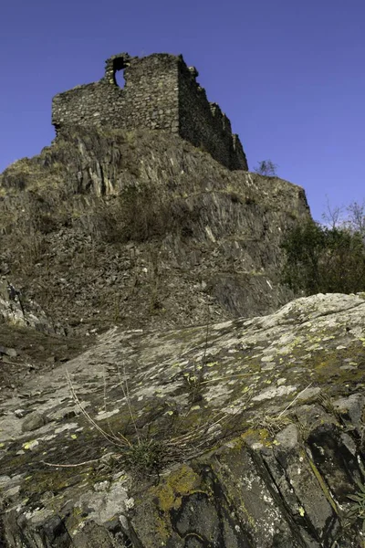 Деревья Кусты Растущие Скале — стоковое фото